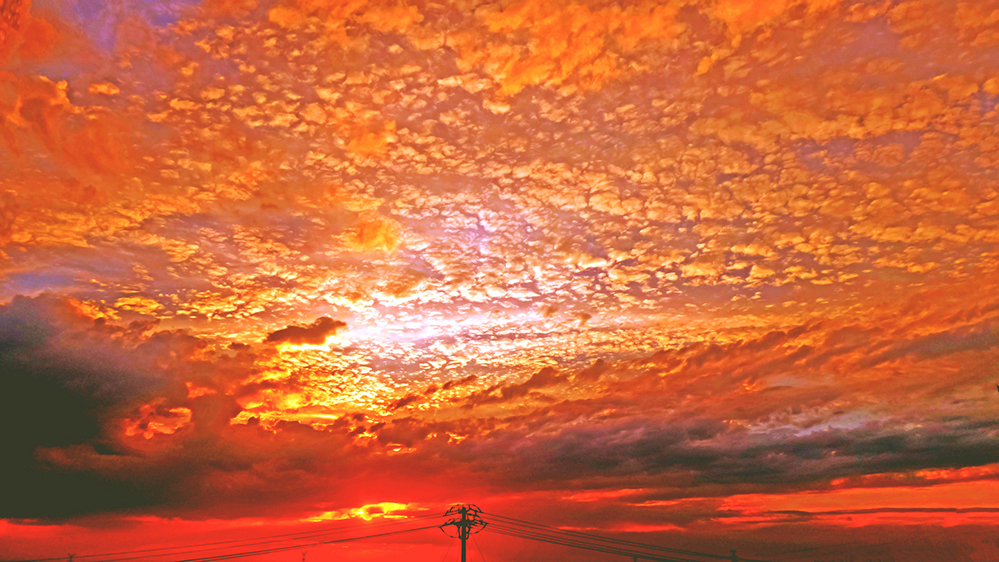 10ѫ������ ���ٺ�-[��ϼ].jpg