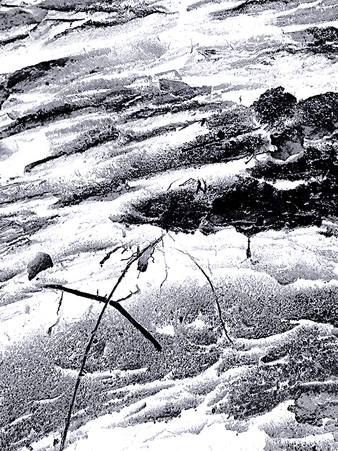 8ѫ���������-E 1�����ϡ�.JPG