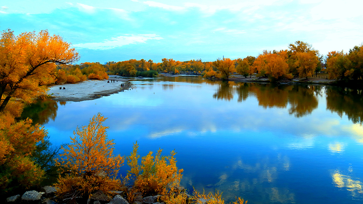 ���ն�ӣ����� (1).jpg