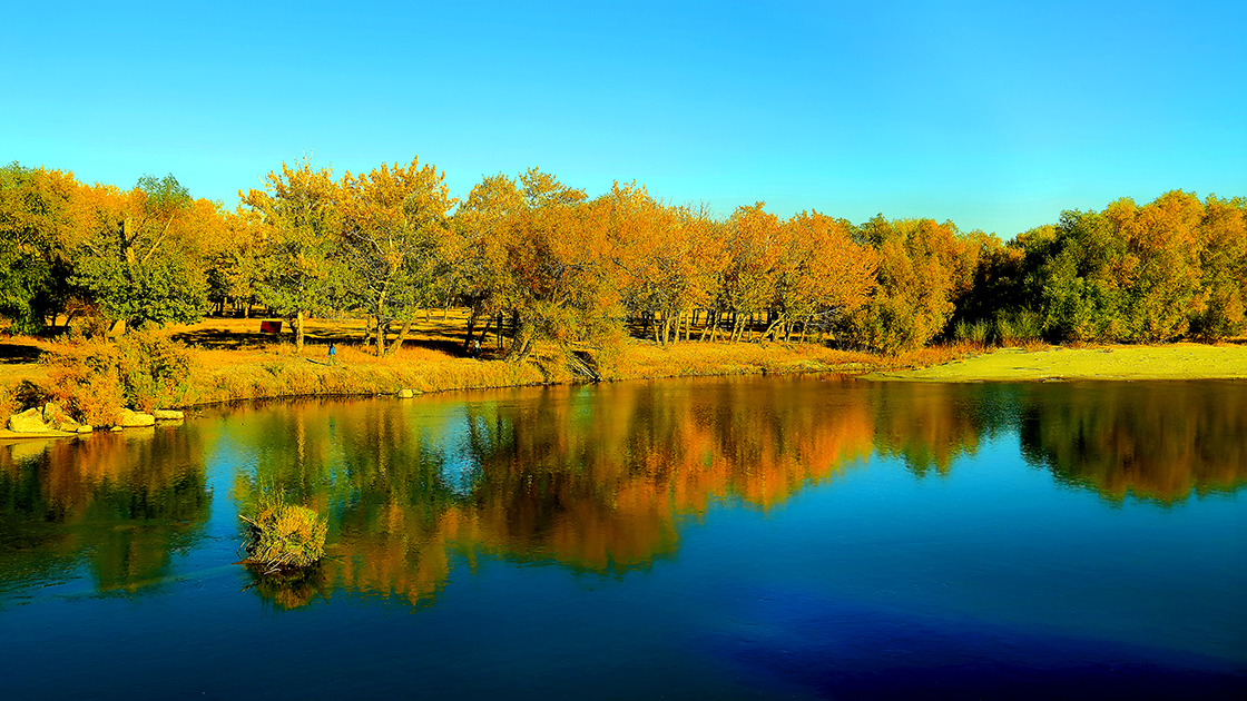 ���ն�ӣ����� (3).jpg