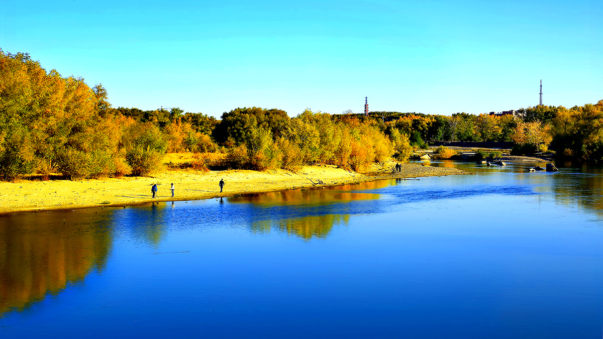 ���ն�ӣ����� (4).jpg