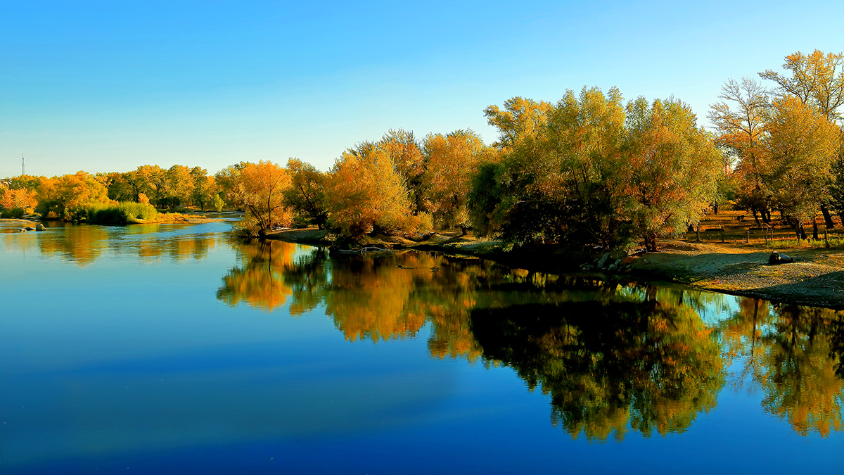 ���ն�ӣ����� (5).jpg