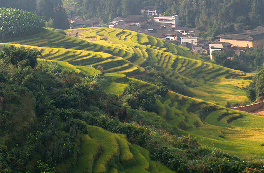 2015������ (486)_����.jpg