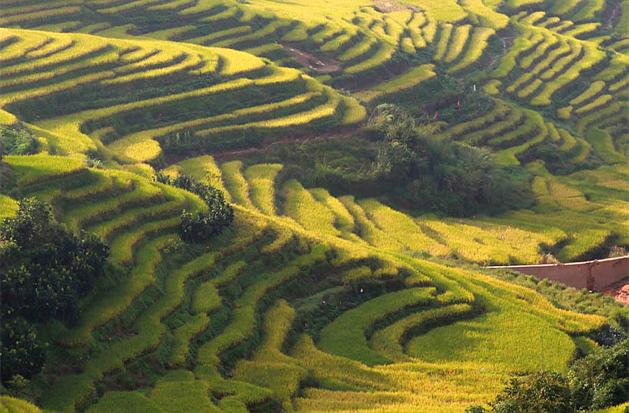 2015������ (478)_����.jpg