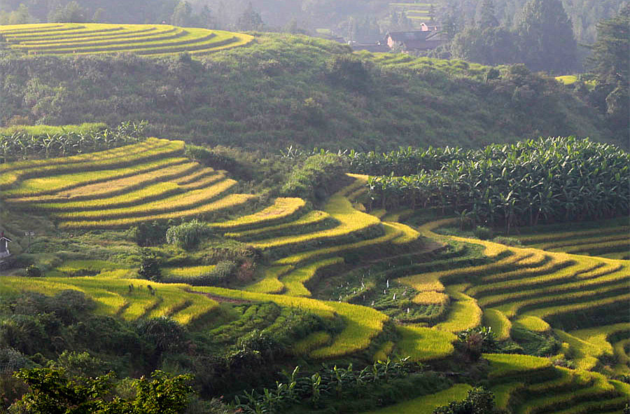 2015������ (464)_����.jpg