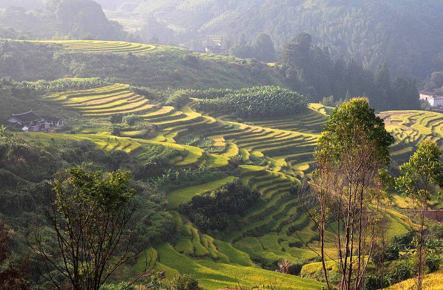 2015������ (463)_����.jpg