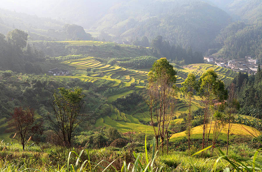 2015������ (458)_����.jpg