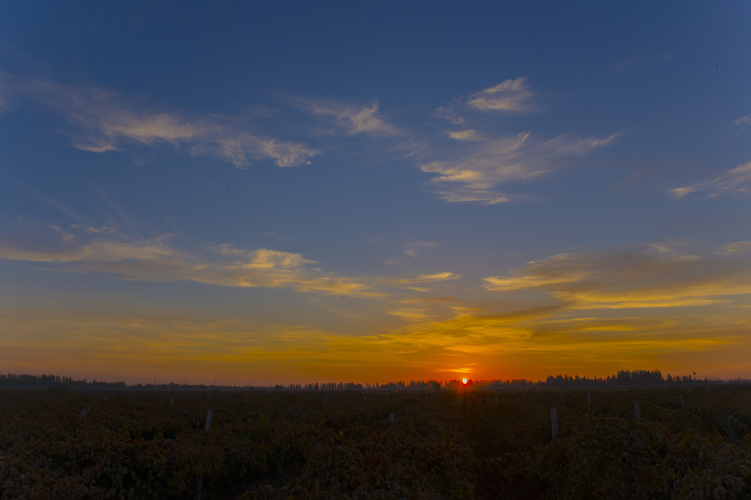 ��ɽ����֮�ﾰ