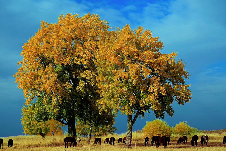 ��ĽŲ����壩 (1).jpg