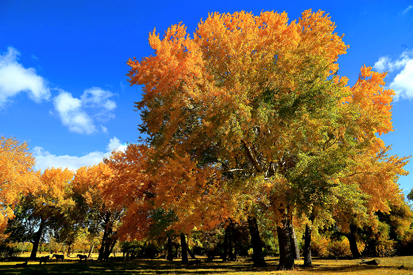 ��ĽŲ����壩 (6).jpg