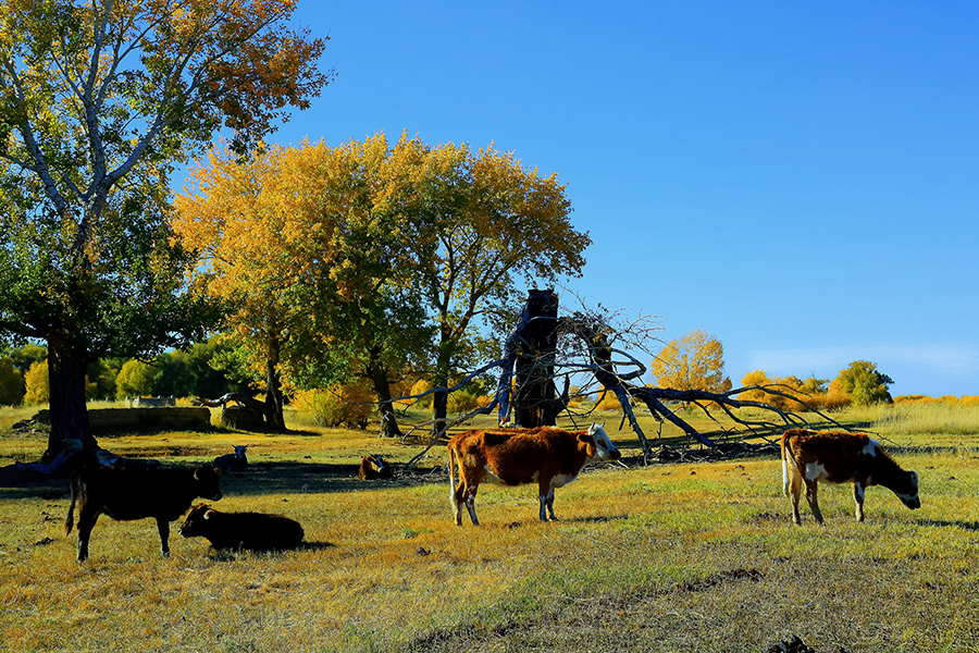 ��ĽŲ����壩 (7).jpg