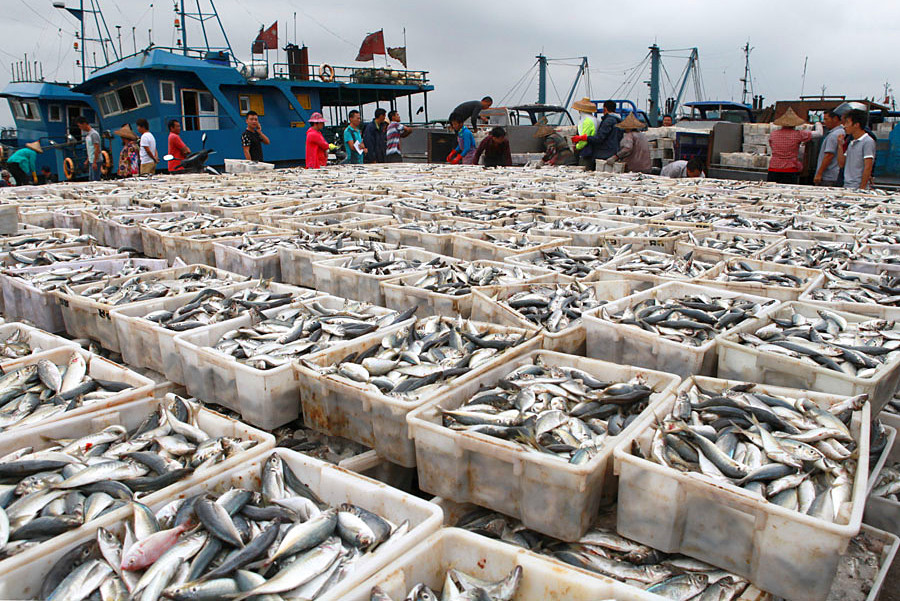 2015������ (657)_����.jpg