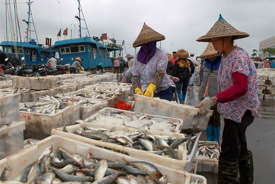 2015������ (658)_����.jpg