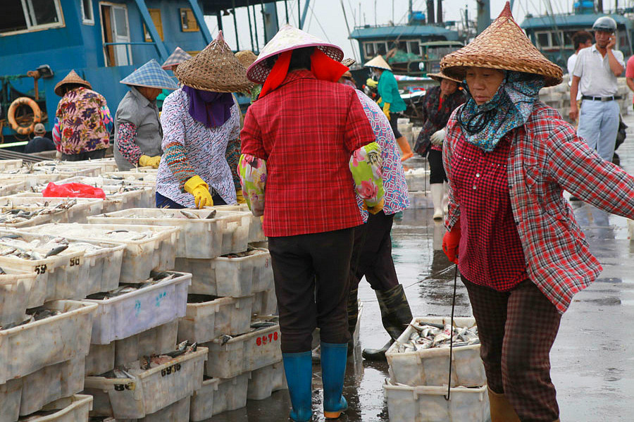 2015������ (663)_����.jpg