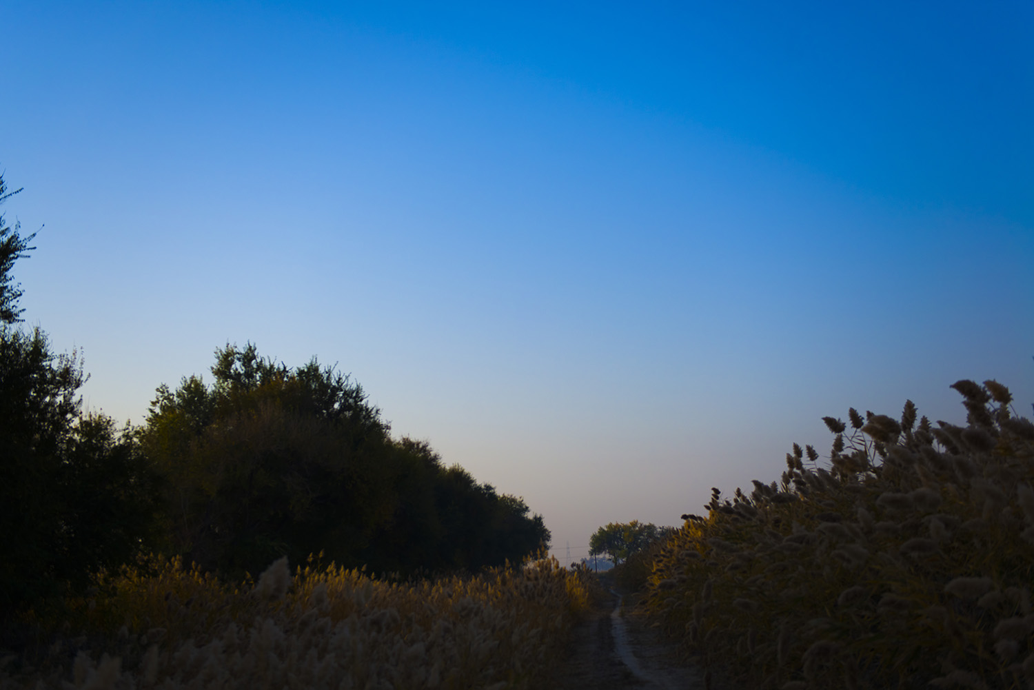 �½�����ũ���ĳ���