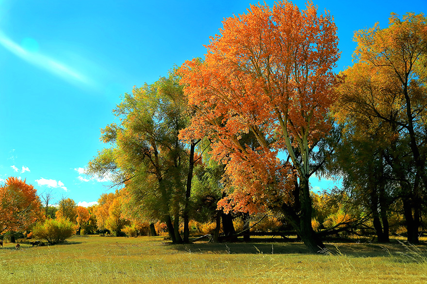 ��ĽŲ������� (1).jpg