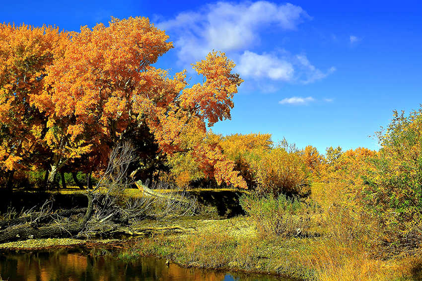 ��ĽŲ������� (2).jpg