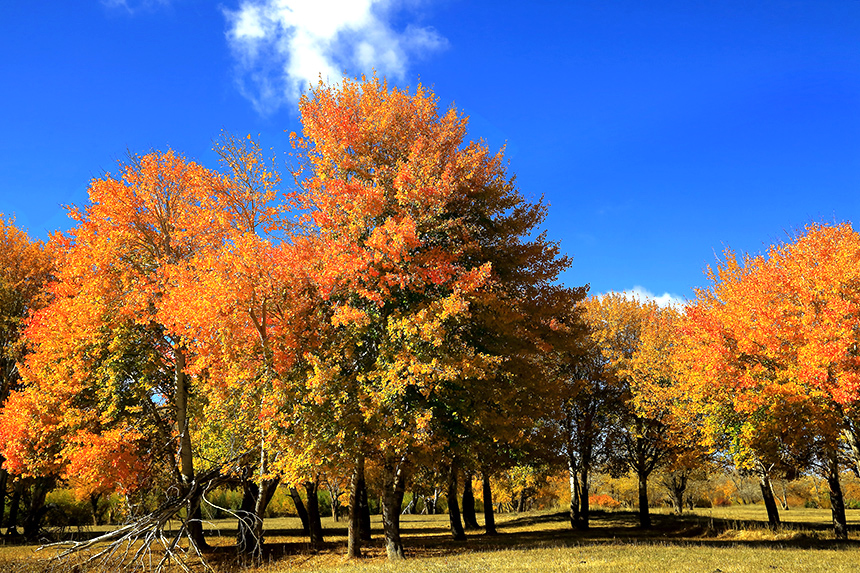 ��ĽŲ������� (3).jpg