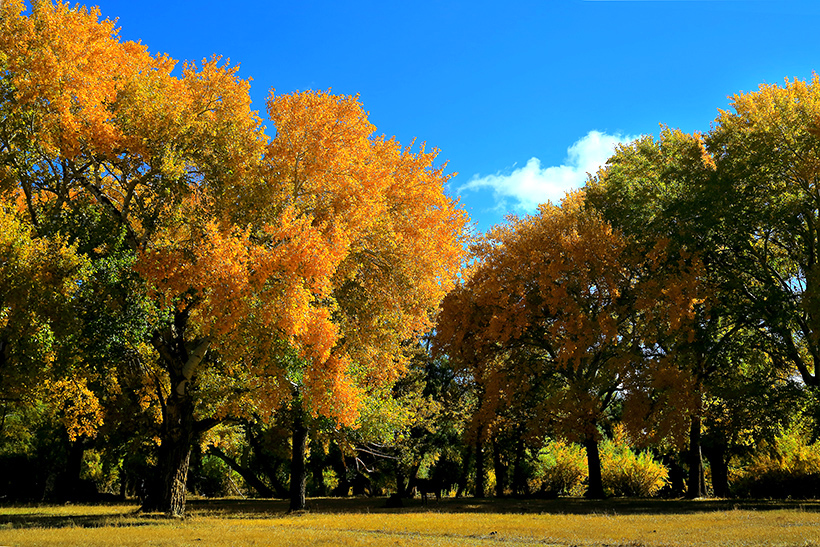 ��ĽŲ������� (6).jpg