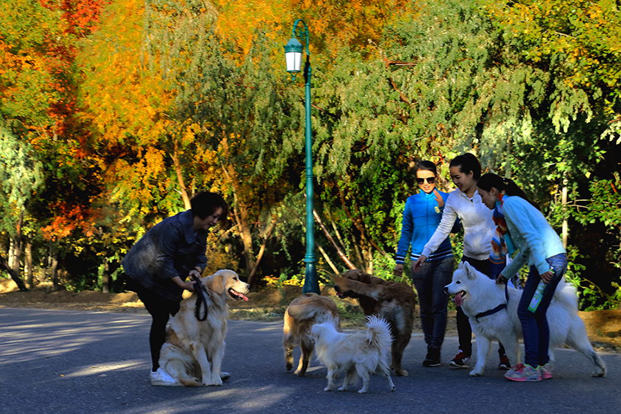 ����̤�� (1).jpg