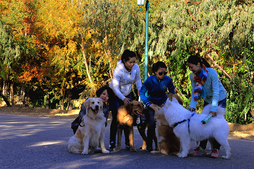 ����̤�� (3).jpg