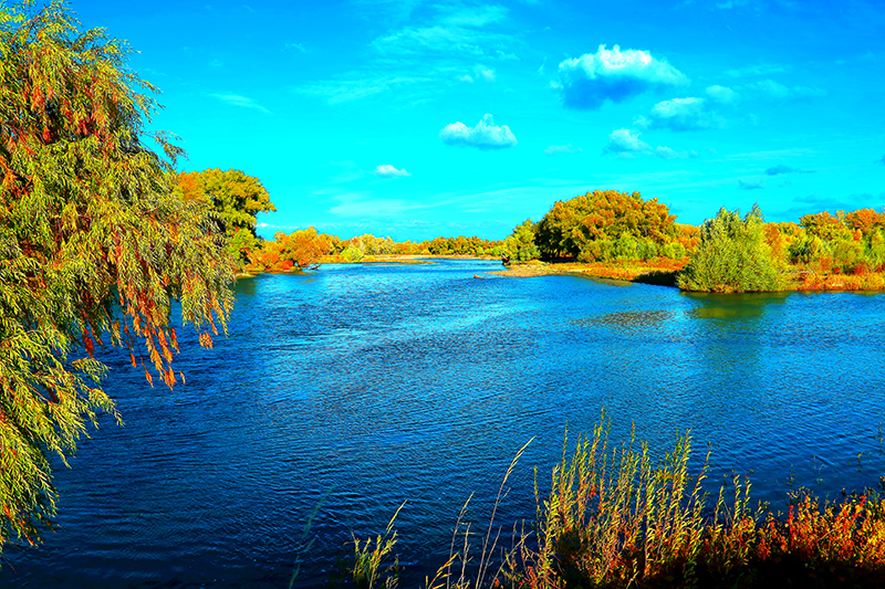 ���ն�ӣ����� (1).jpg