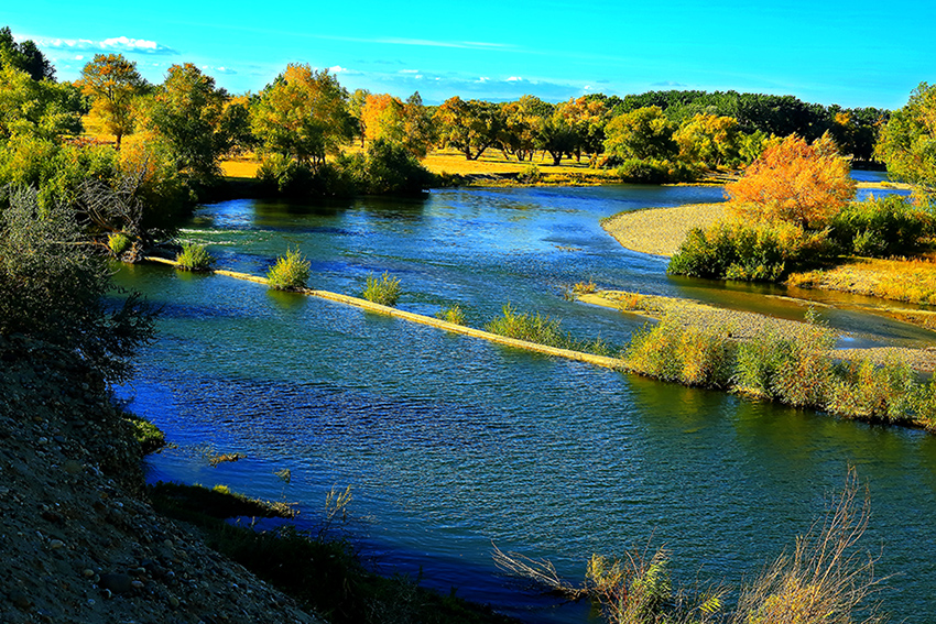 ���ն�ӣ����� (2).jpg