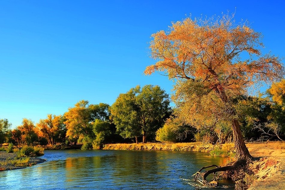 ���ն�ӣ����� (3).jpg