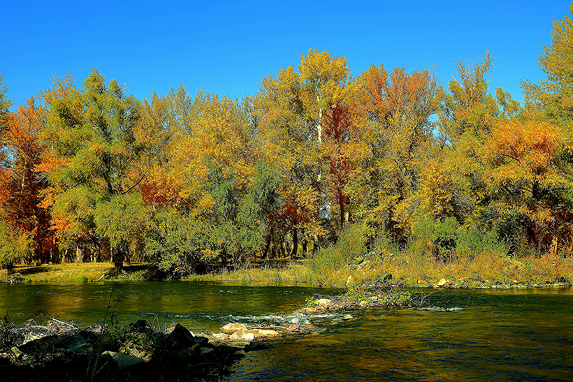 ���ն�ӣ����� (4).jpg