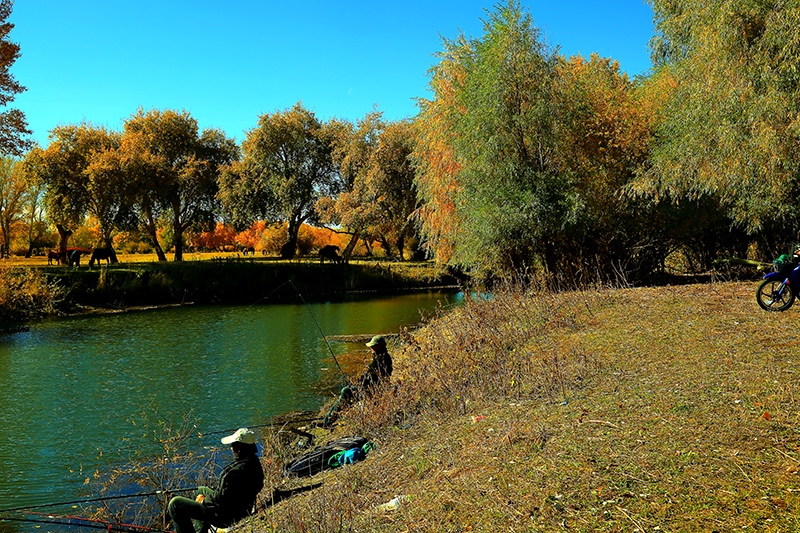 ���ն�ӣ����� (6).jpg