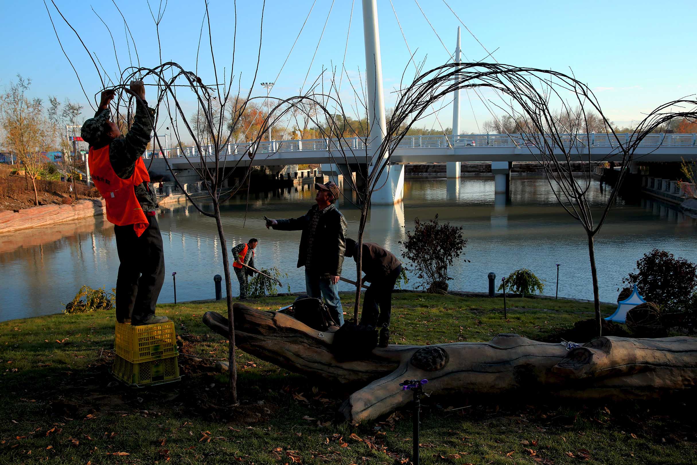 ��֯������