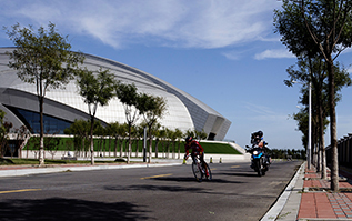 ����Ų���������