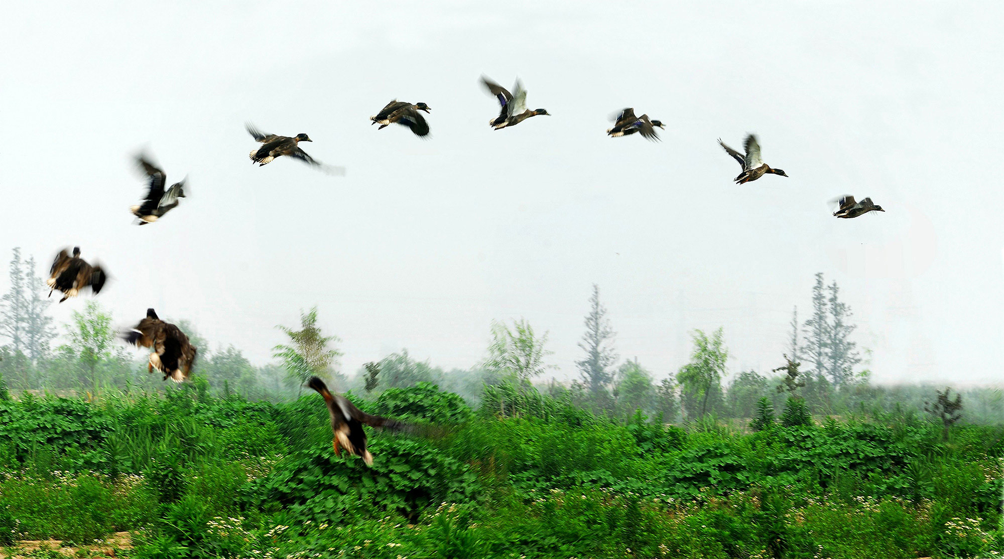 �ݷ�-A3-ҰѼ���Ϸ�