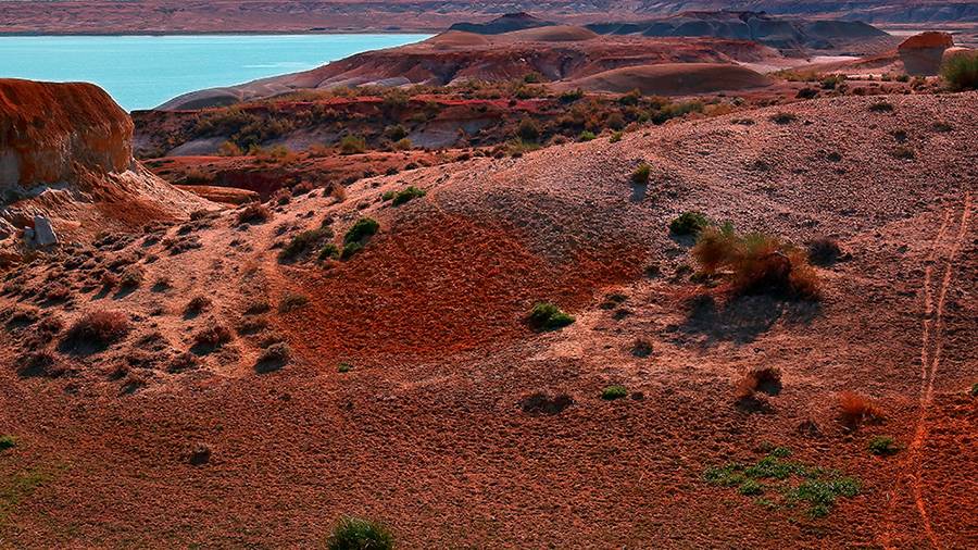 �ŵ���ò������ (3).jpg