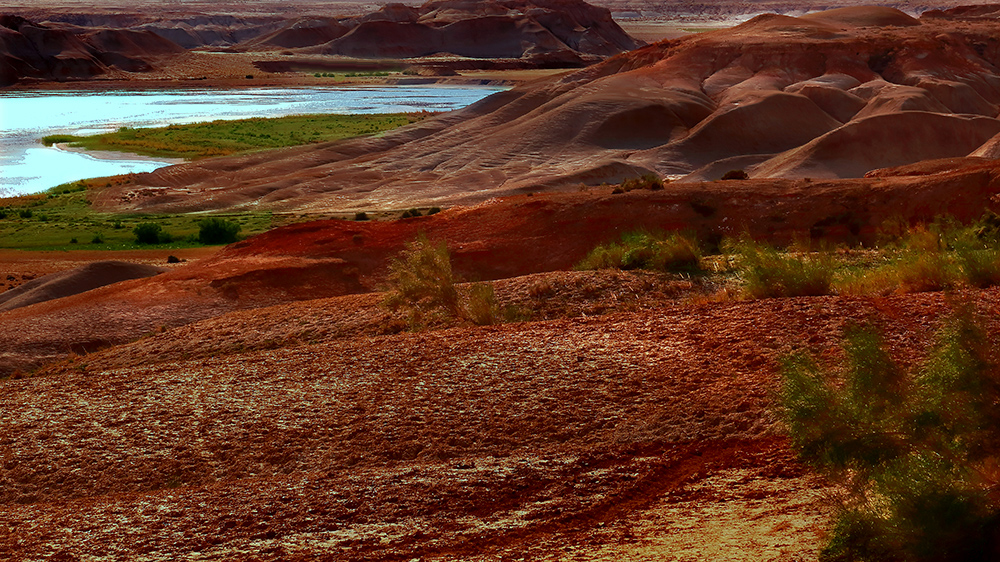 �ŵ���ò������ (4).jpg