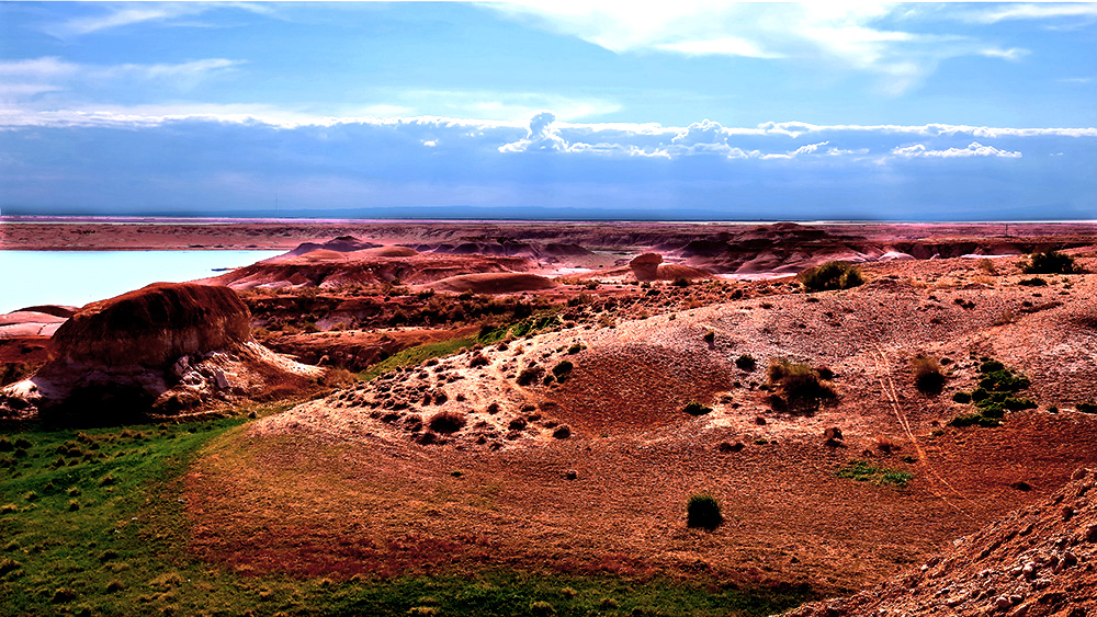 �ŵ���ò������ (2).jpg