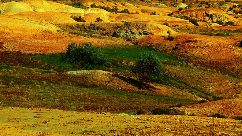 �ŵ���ò������ (1).jpg