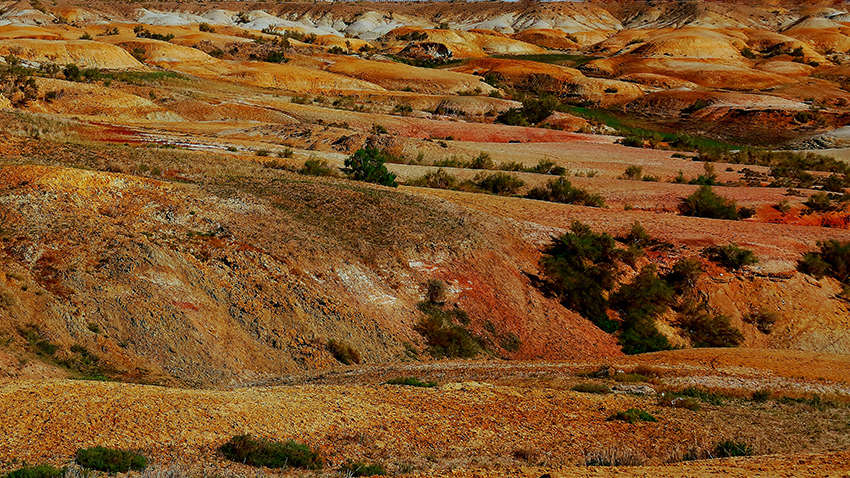 �ŵ���ò������ (2).jpg