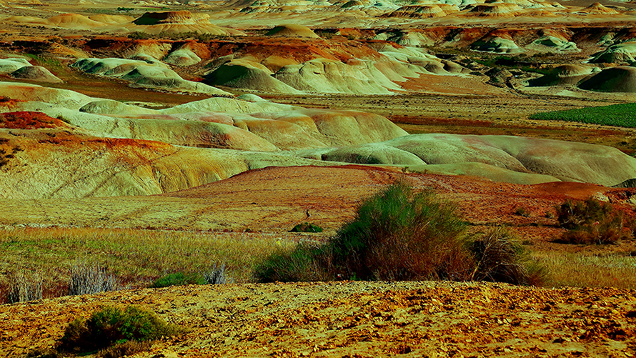 �ŵ���ò������ (3).jpg