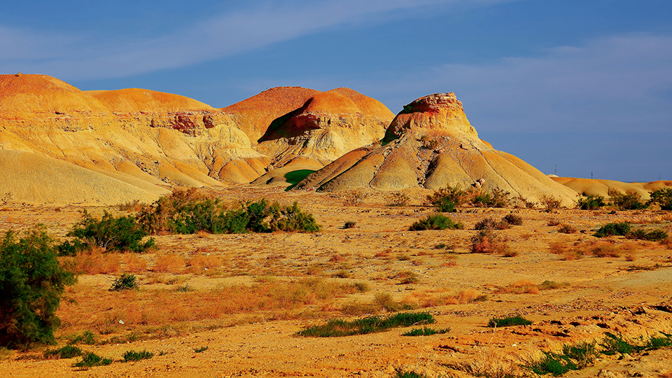 �ŵ���ò������ (5).jpg