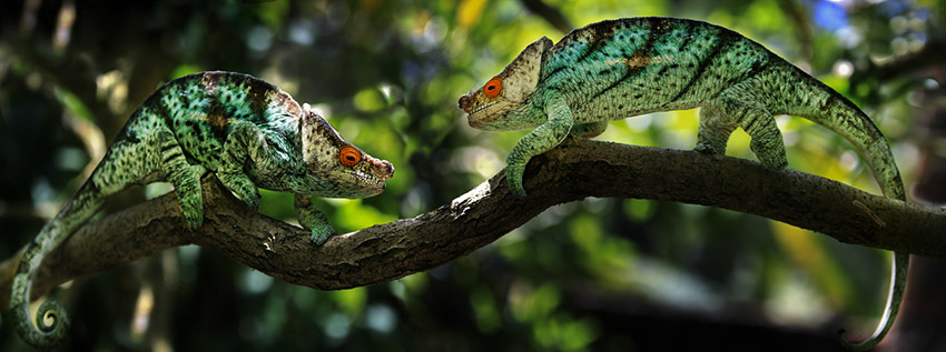 �� �ޣ��θ裩-������ɫ������Ȼ��-C1.jpg