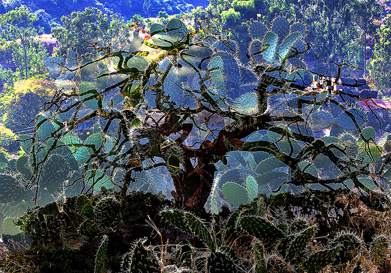 �� �ޣ��θ裩-�������ƻ���������-D3.jpg