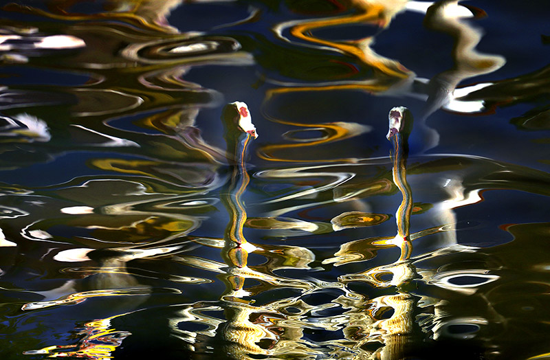 �� �ޣ��θ裩-����֮�顷--������--E2.jpg