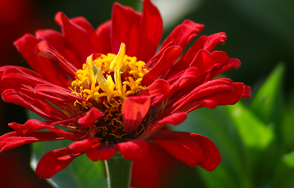 2014.7.7�� 003 (40)����.jpg