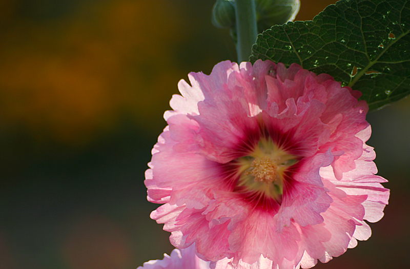 2014.7.7�� 003 (52).jpg