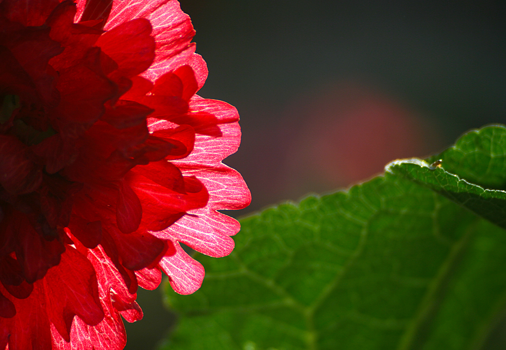 2014.7.7�� 003 (55)����.jpg