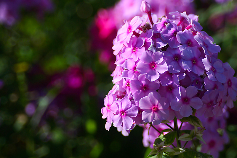 2014.7.7�� 003 (59).jpg