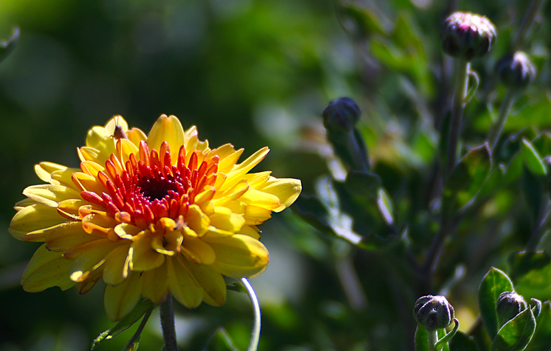 2014.7.7�� 003 (64).jpg