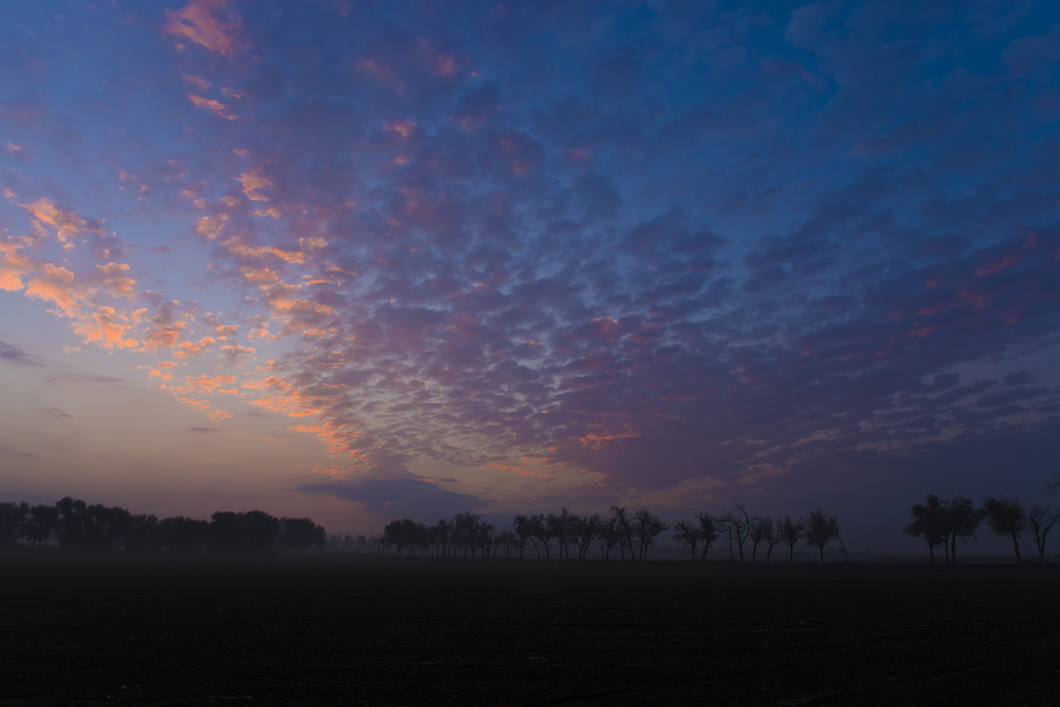 �������غ��ճ�