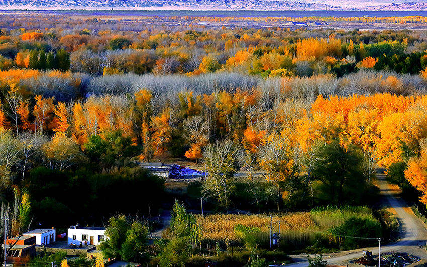 ������� (3).jpg